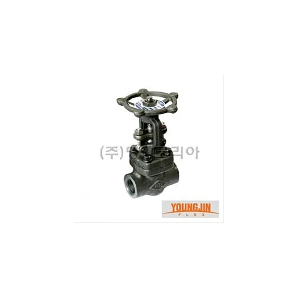 YOUNGJIN FLEX Gate Valve (Thread Type/ A105/ 25A/ 29.72mm/ 13MPa, 1 pc)