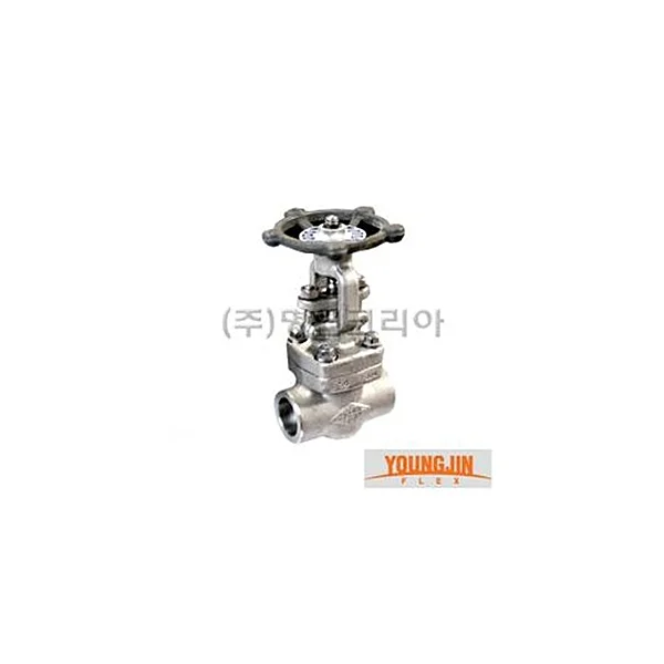 YOUNGJIN FLEX Gate Valve (Thread Type/ F304/ 40A/ 44.36mm/ 13MPa, 1 pc)