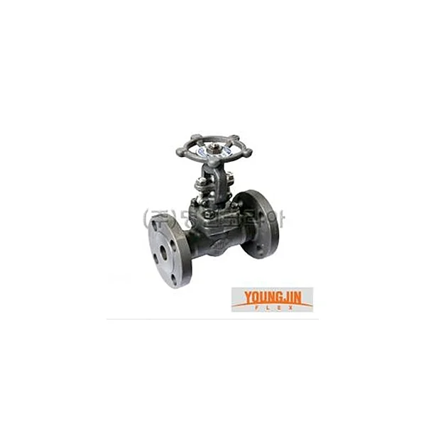 YOUNGJIN FLEX Gate Valve (Flanged/ A105/ 20A/ 20mm/ 0.98~1.96MPa, 1 pc)