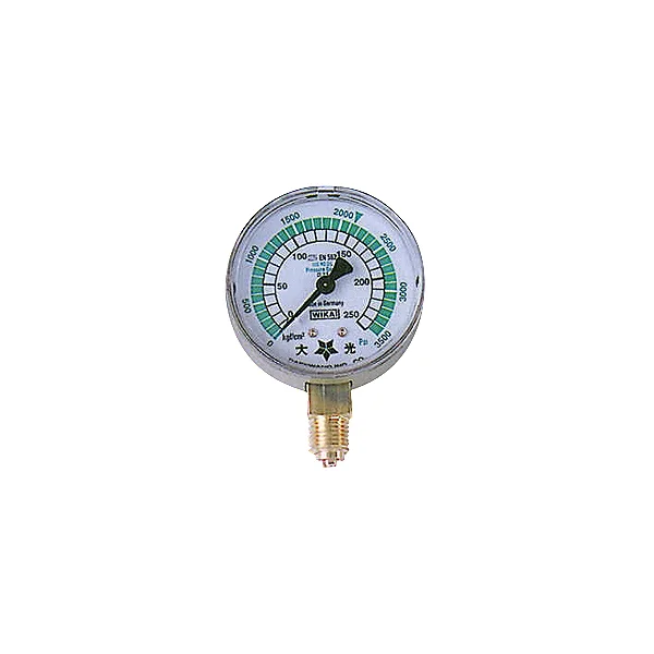 DAEKWANG Pressure Gauge DK 250kgf/ ㎠ Primary