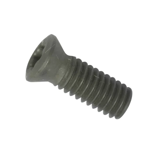 [CMT] Screw FTNA 0618 (ST6172 - 60)