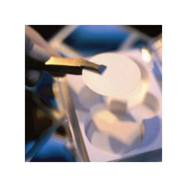 [STERLITECH] Membrane Filter PP04547