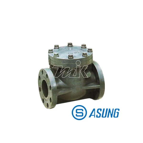 ASUNG Swing Check Valve (C - PVC/ FPM) 50A(F)