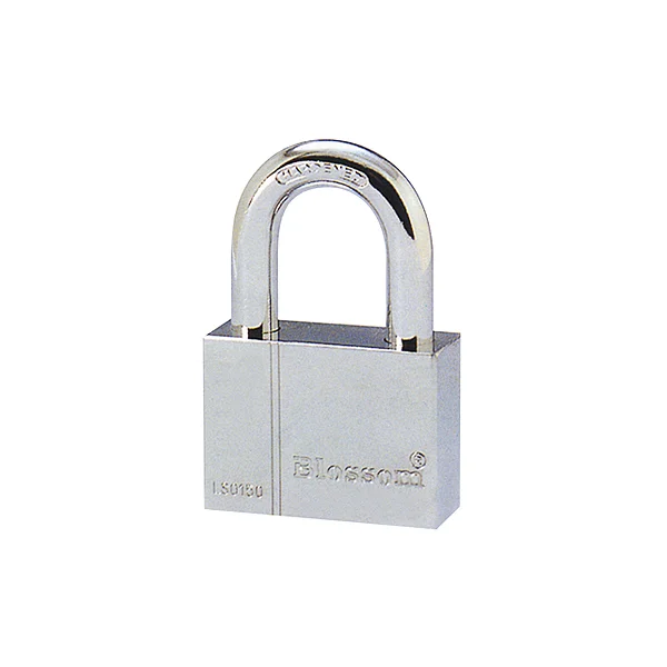 BLOSSOM Cast Iron Key B - LS0140 (40mm)