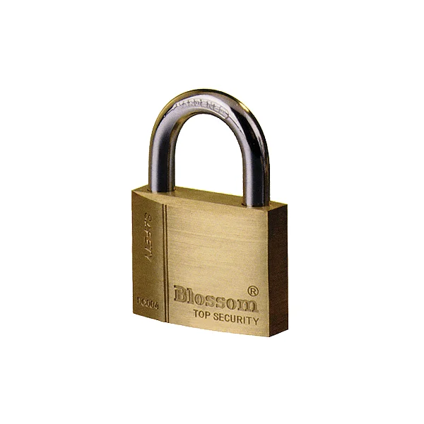 BLOSSOM Brass Key BC0440 (40mm)