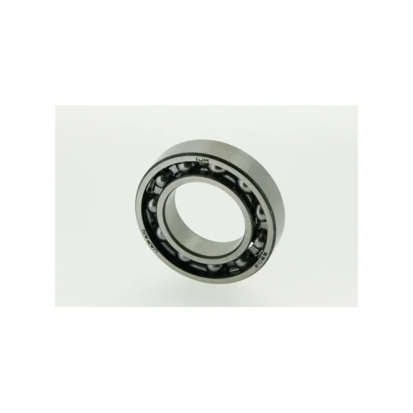 [IJK] Deep Groove Ball Bearing (6000 Series) (10mm/ 30mm/ 9mm/ SUS, 1 pc)