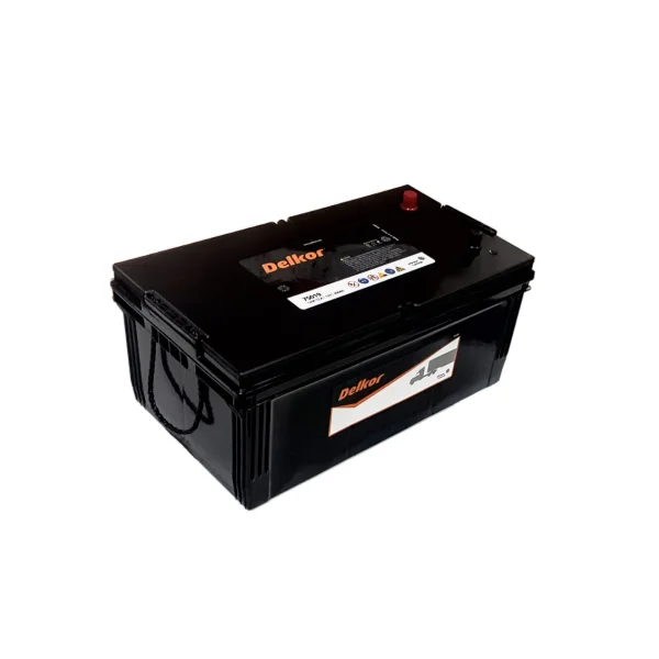 DELKOR Automotive Battery Standard Type DF75019(250L) Battery
