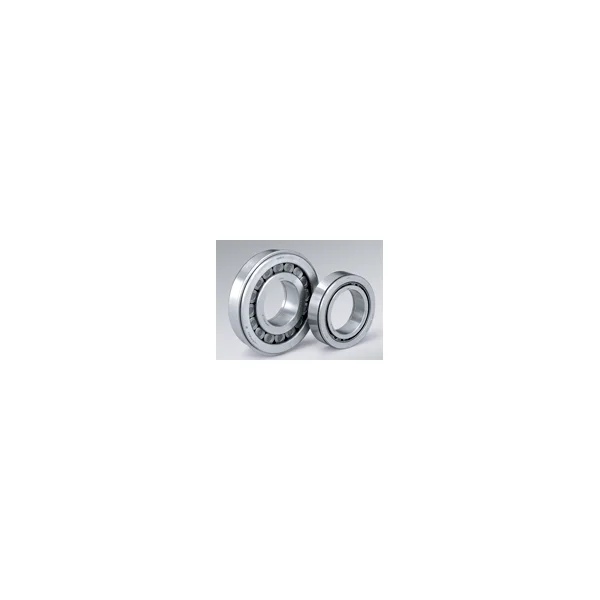 [NSK] Cylindrical Roller Bearing (NF Type) (17mm/ 40mm/ 12mm, 1 pc)