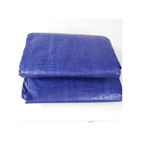 Tarpaulin (Cheongtapji) 10x10M (Cover/ Sheet/ Lid) - 2 pcs per bundle