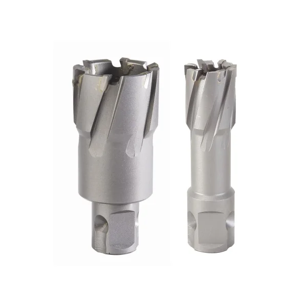 SESHIN Carbide Broach Cutter 42 (50L)