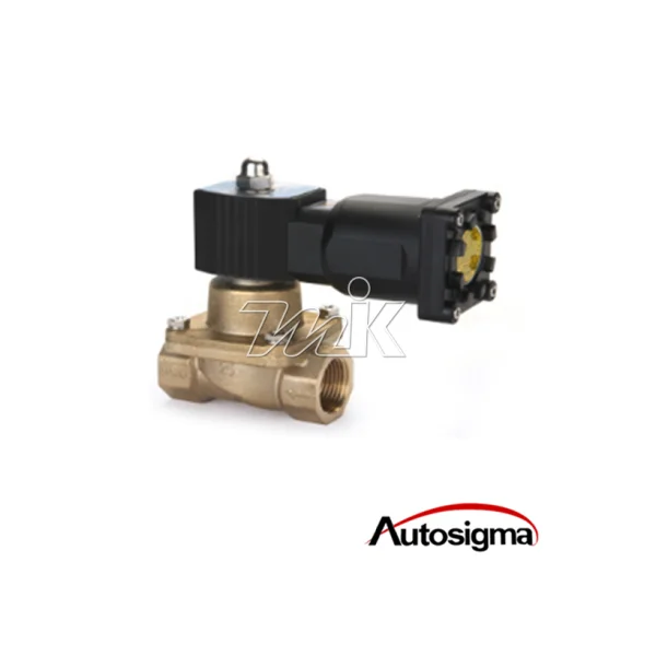 [MYUNGIN KOREA] Solenoid Valve - Steam/ Explosion Proof (Normally Closed) HPG - EX 21S90 50A (AC220V)