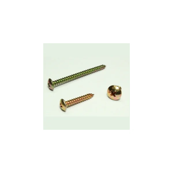 [HAPDONG BOLT] Steel Umbrella Head Type 1 Screw (Truss Head) (M5/ 16mm/ Truss Head/ Phillips/ Steel, 500 pcs)