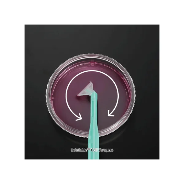 [BIOFIL] Cell Scraper (1.25cm - Bladex30cm, J1.S211.030)