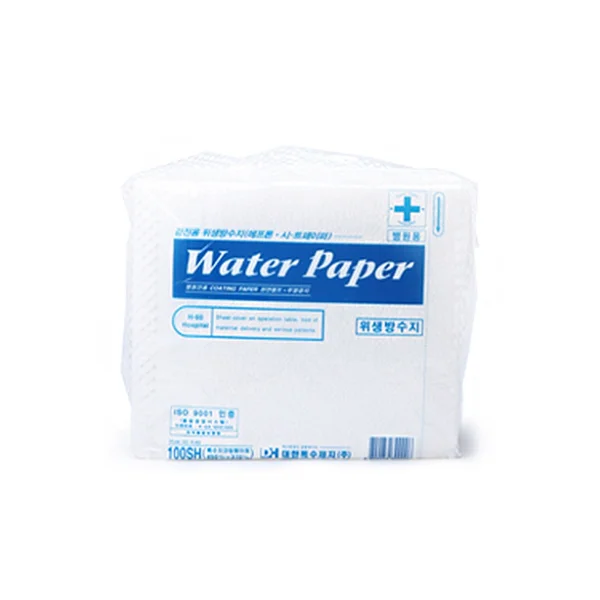 DAEHAN SPECIAL PAPER Disposable Waterproof Paper Grounding Type (450x370mm, 100 sheets, For Hospitals/ Examinations)