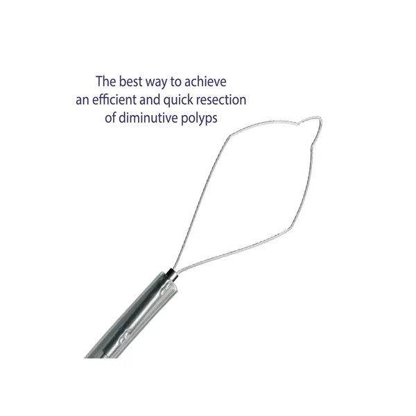 [BCM] Endoscopic Polypectomy Cold Snare SC2323 - 10M (10mm, 1 pc, for Lower GI)