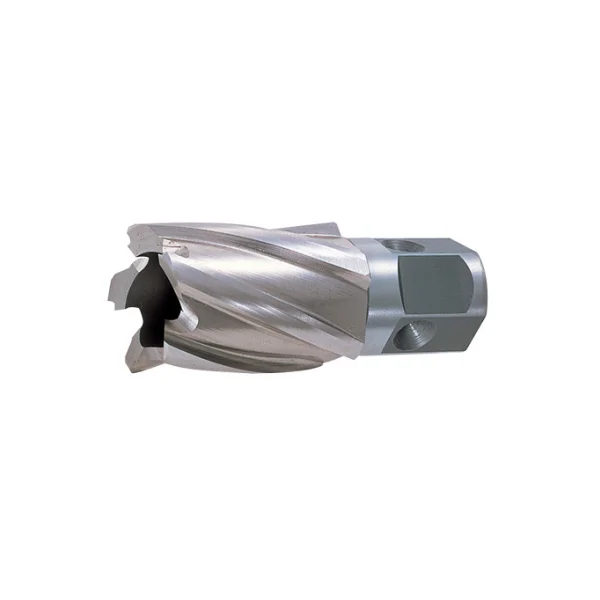 NITTO Hybrochi 13 (25L) (Standard Type)